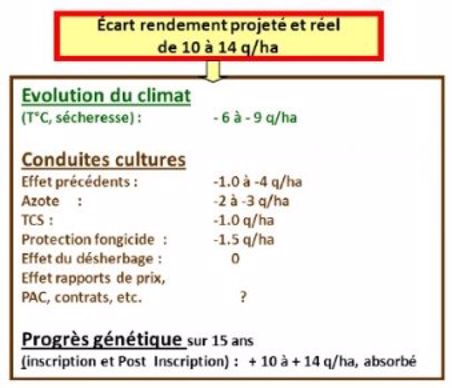 Facteurs de stagnation du rendement du blé tendre.