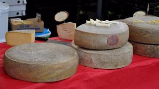 La crème des fromagers s'affronte dans un concours mondial La crème des fromagers s'affronte dans un concours mondial