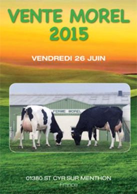 vente morel 2015