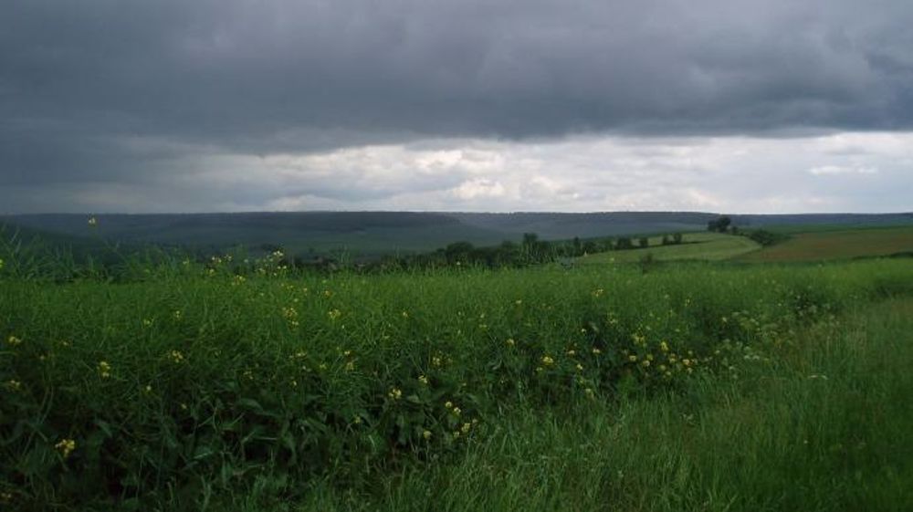 Si le volume des cotisations versées en 2014 par les agriculteurs au titre de l'assurance récolte est supérieur à 149,538 M€, alors le taux de prise en charge par les pouvoirs publics sera inférieur à 65 %.<br />(©Terre-net Média)<span style="font-size: 14px; line-height: 1.5em; text-align: justify; color: #000000;"> 