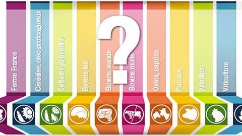 Tous <a href="http://www.terre-net.fr/actualite-agricole/economie-social/article/tous-les-revenus-agricoles-2014-actualises-par-production-202-110900.html" target="_blank">les chiffres des revenus 2014</a> en cliquant sur le visuel. (©Terre-net Média)