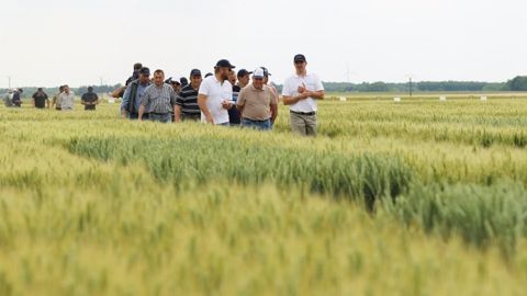 Selon Axéréal, pour un grand nombre d’agriculteurs, l’augmentation de la marge brute passe par une meilleure gestion des charges d’exploitation. (©Axéréal)
