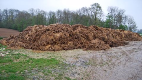 11 types de fumier sont listés dans l'outil d'Arvalis. (©Terre-net Média)