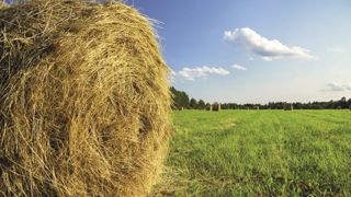 (©Crédit Agricole Assurances) (©Crédit Agricole Assurances)