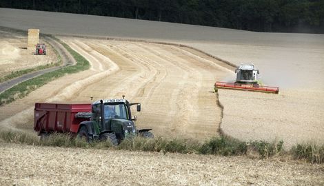 Moisson à  Pont de Pany (Vallée Ouche) chez l’Earl de la Chassagne (Noirot). (©P. Maupetit pour Dijon Céréales)