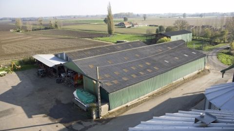 Avec le nouveau dispositif de soutien aux Cuma, seuls les hangars seront aidés en matière d'investissements matériels. (©Watier visuels)