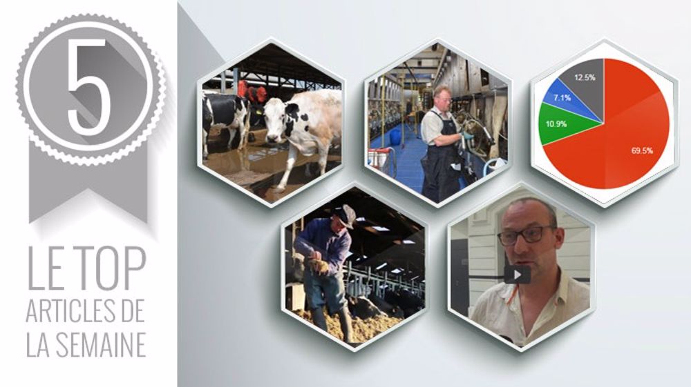 Le top articles de la semaine sur Web-agri. (©Terre-net Média) Le top articles de la semaine sur Web-agri. (©Terre-net Média)