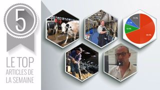 Le top articles de la semaine sur Web-agri. (©Terre-net Média) Le top articles de la semaine sur Web-agri. (©Terre-net Média)