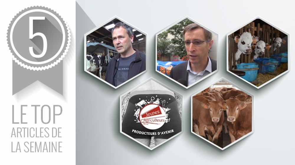 Les 5 articles les plus lus cette semaine sur Web-agri. (©Terre-net Média) Les 5 articles les plus lus cette semaine sur Web-agri. (©Terre-net Média)