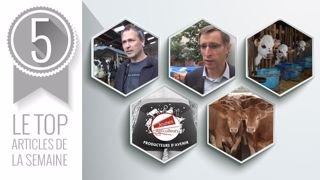 Les 5 articles les plus lus cette semaine sur Web-agri. (©Terre-net Média) Les 5 articles les plus lus cette semaine sur Web-agri. (©Terre-net Média)