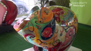 Le marché du porc breton atteint 7.200 euros le cochon ! Le marché du porc breton atteint 7.200 euros le cochon !