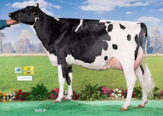 Hisatys - Réserve Championne Jeune et Meilleure Mamelle Jeune - Gaec Du Vallon (56 Reguiny)