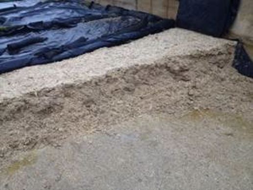 ensilage de maïs épis