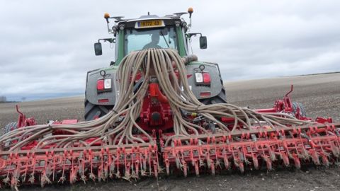 Les producteurs russes ont semé 10,5 Mha de blés d’hiver contre 10,4 Mha l’an dernier à la même date. (©Terre-net Média)