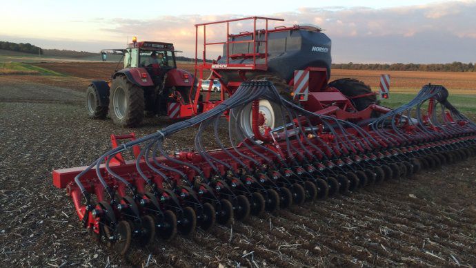Horsch Avatar