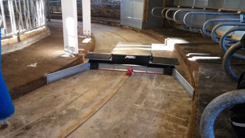 Dans cette stabulation norvégienne ronde, le Mirobot s'est avéré le moyen le mieux adapté pour racler le couloir circulaire. (©Miro) Dans cette stabulation norvégienne ronde, le Mirobot s'est avéré le moyen le mieux adapté pour racler le couloir circulaire. (©Miro)
