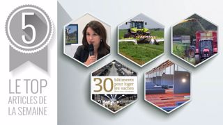 Articles les plus lus cette semaine sur Web-agri (©Terre-net Média) Articles les plus lus cette semaine sur Web-agri (©Terre-net Média)