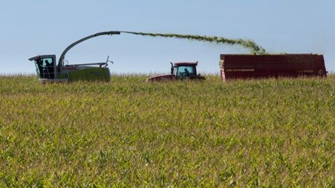 Retrouvez l'actualité des semenciers dans le<a target="_self" href="http://www.web-agri.fr/varietes-de-mais/t452"> dossier variétés maïs grain et fourrage</a>. (©Watier-visuel) Retrouvez l'actualité des semenciers dans le<a target="_self" href="http://www.web-agri.fr/varietes-de-mais/t452"> dossier variétés maïs grain et fourrage</a>. (©Watier-visuel)