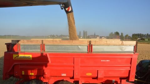 La France est classée "AAA" en matière de solvabilité alimentaire par l'agence de notation Momagri. (©Terre-net Média)