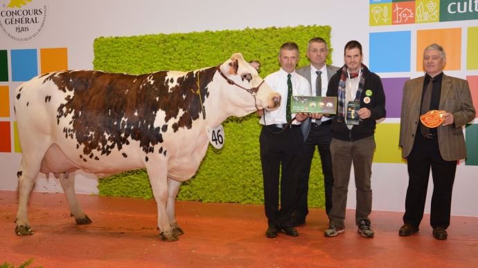 Didefix (Manizales x Noyalo) réalise un superbe concours en remportants les titres de meilleure fromagère (8 531 kg, TA 38,5 TB 47,9)et meilleure bouchère ! 