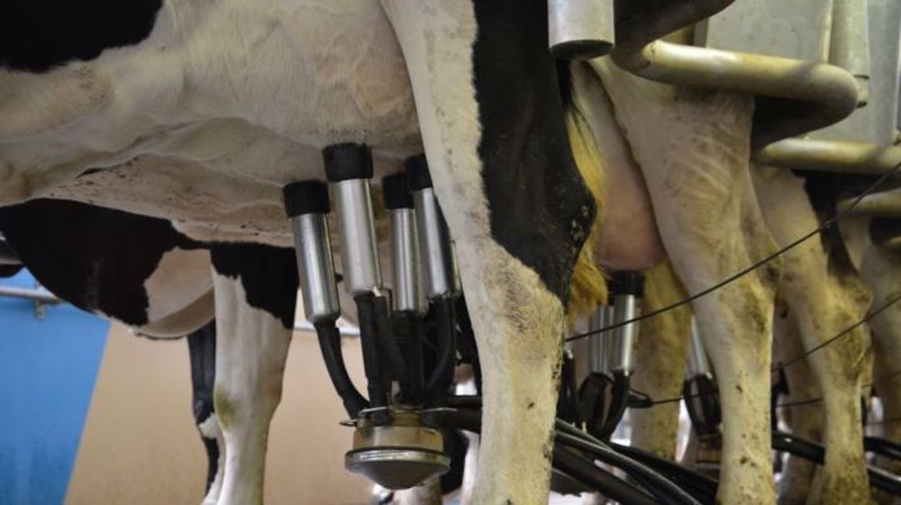 Seulement trois transformateurs ont officiellement signé la Charte de la FNPL :  la laiterie Saint-Père, filiale du groupe Mousquetaires-Intermarché, Saint-Denis-de-l’hôtel et Tribalat. (©Terre-net Média)