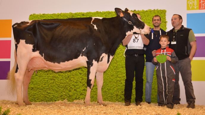 Duf Hashlyn (Fever Crac x mère Ashlyn 2)