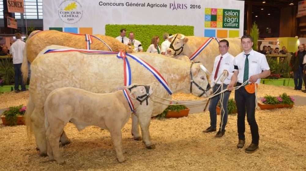 La championne de Paris 2015, Delphine (Black Out x Touraine) au Gaec Richard de Vendée (85) est sacrée "Rappel de championnat" cette année. (©Terre-net Média)