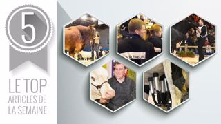 Articles les plus lus sur Web-agri cette semaine. (©Terre-net Média) Articles les plus lus sur Web-agri cette semaine. (©Terre-net Média)