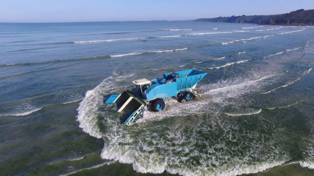 Le groupe Olmix collecte l'algue ulves sur les côtes bretonnes. (© Studio Fun Images, Laurent Rannou)