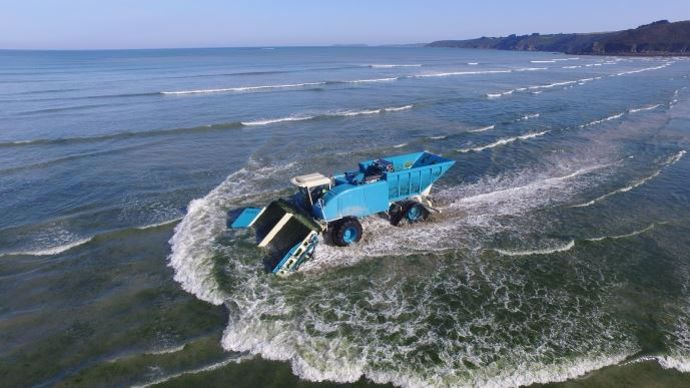 Legroupe Olmix collecte l'algue ulve sur les côtes bretonnes.