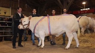 Michel Genin obtient le Super prix d’honneur femelle. (©Acti-Ouest) Michel Genin obtient le Super prix d’honneur femelle. (©Acti-Ouest)