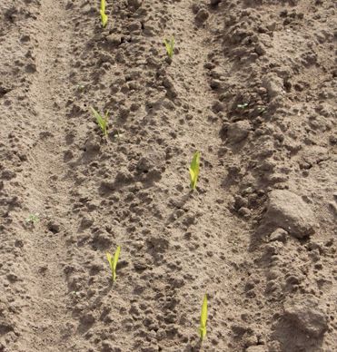 Delta Row Lemken