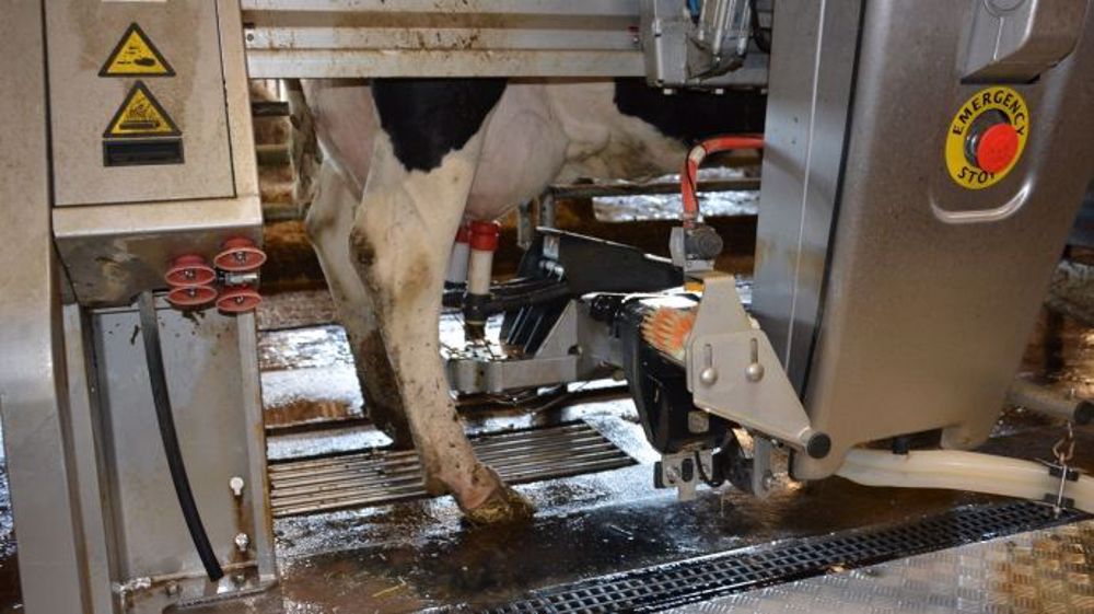 La France est prête à s'engager dans un programme de stabilisation de la production laitière à condition que les autres pays européens fassent de même. (©Terre-net Média)