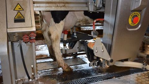La France est prête à s'engager dans un programme de stabilisation de la production laitière à condition que les autres pays européens fassent de même. (©Terre-net Média)