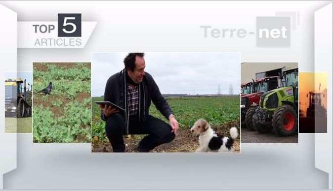 Articles les plus lus cette semaine sur Terre-net    