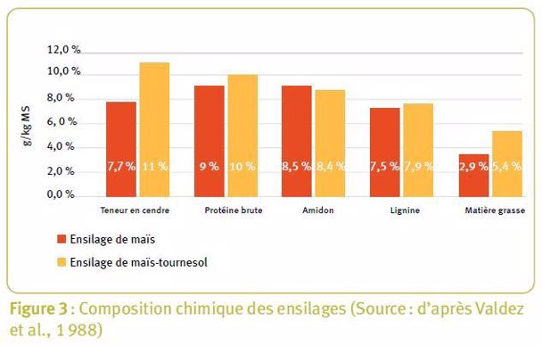 Ensilage de maïs associé au tournesol