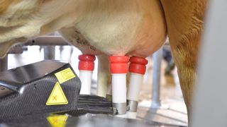 Le robot de traite Lely Astronaut A4 propose une version Start-up. (©Lely) Le robot de traite Lely Astronaut A4 propose une version Start-up. (©Lely)