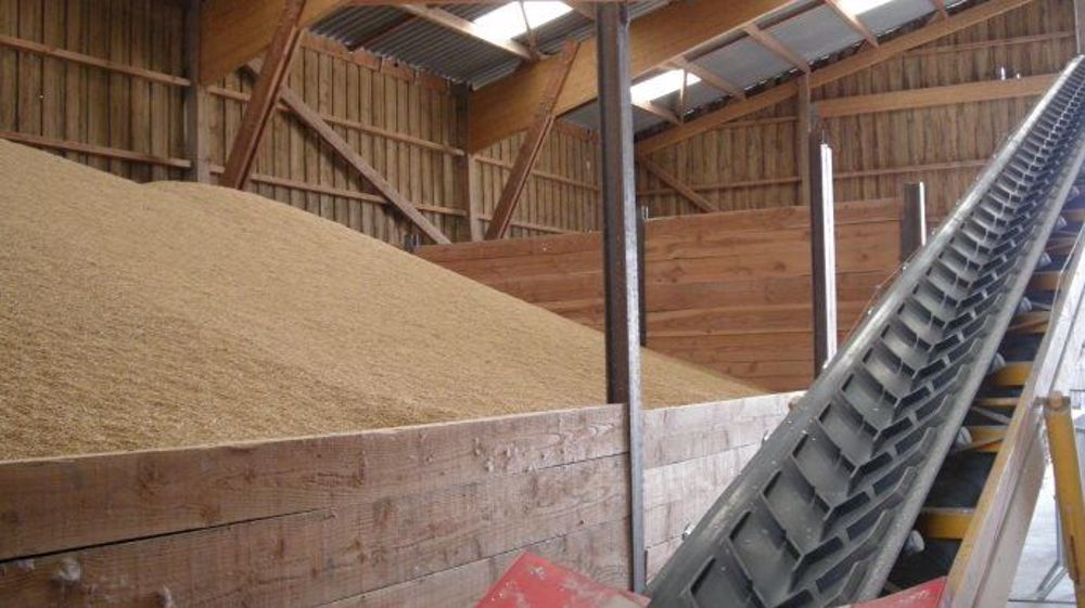 Les producteurs de blé tendre auraient encore, selon FranceAgriMer, 2,5 Mt de blé tendre dans leurs silos ou en dépôt chez leur collecteur. (©Terre-net Média)