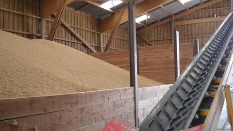Les producteurs de blé tendre auraient encore, selon FranceAgriMer, 2,5 Mt de blé tendre dans leurs silos ou en dépôt chez leur collecteur. (©Terre-net Média) Les producteurs de blé tendre auraient encore, selon FranceAgriMer, 2,5 Mt de blé tendre dans leurs silos ou en dépôt chez leur collecteur. (©Terre-net Média)