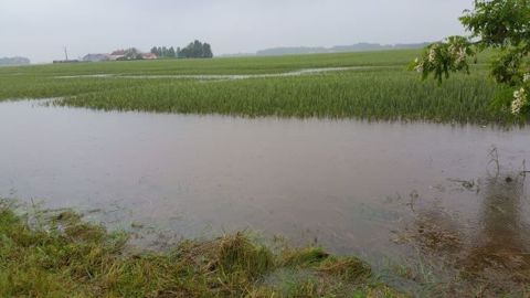 Une parcelle inondée dans le Loiret (FDSEA 45) Une parcelle inondée dans le Loiret (FDSEA 45)