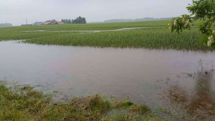 Une parcelle inondée dans le Loiret