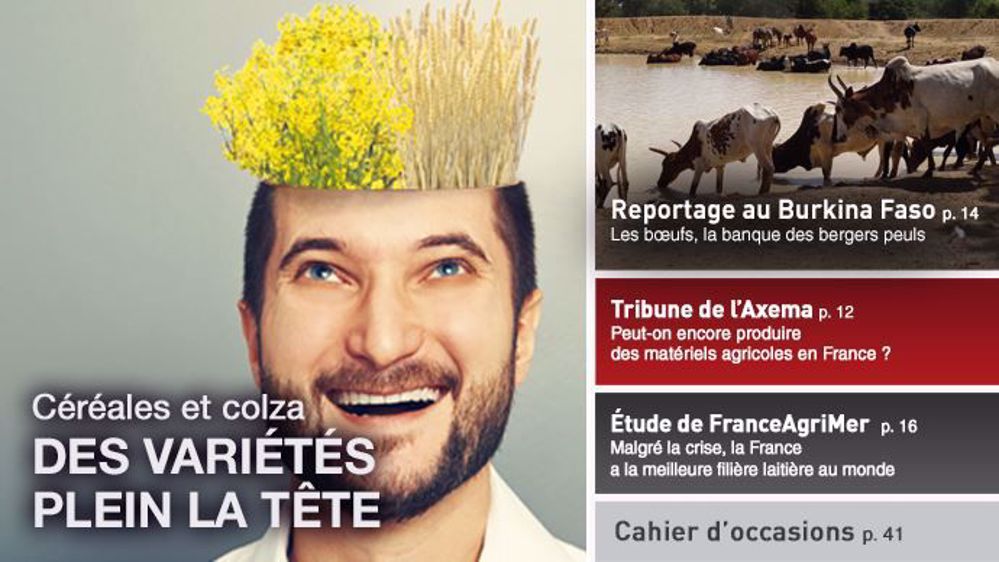 <a href="http://www.terre-net.fr/magazine#utm_campaign=TNMagazine&utm_source=Colonne-droite&utm_medium=BMK" target="_blank">Consulter Terre-net Magazine en ligne ICI.<br /></a>(©Fotolia, Terre-net Média // Création Terre-net Média)
