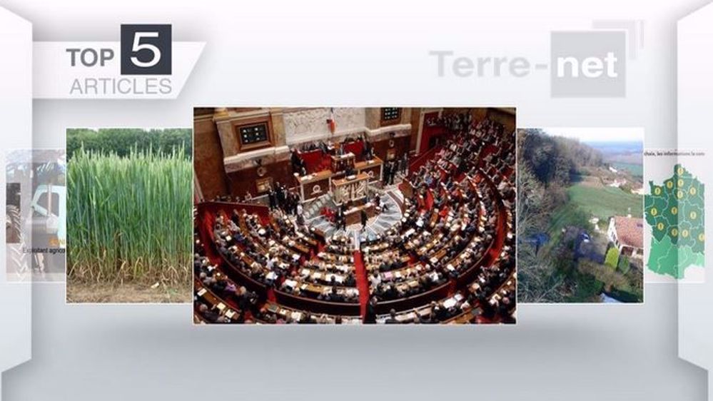 Les cinq articles les plus consultés cette semaine sur Terre-net (©Terre-net Média)