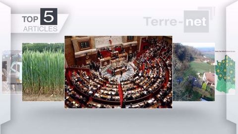Les cinq articles les plus consultés cette semaine sur Terre-net (©Terre-net Média)