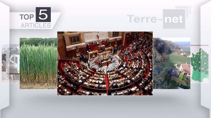 Les cinq articles les plus consultés cette semaine sur Terre-net