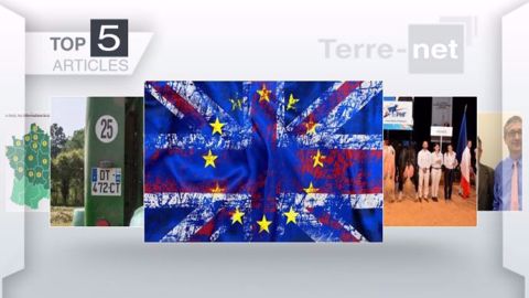 Les cinq articles qui ont fait votre actu cette semaine. (©Terre-net Média)