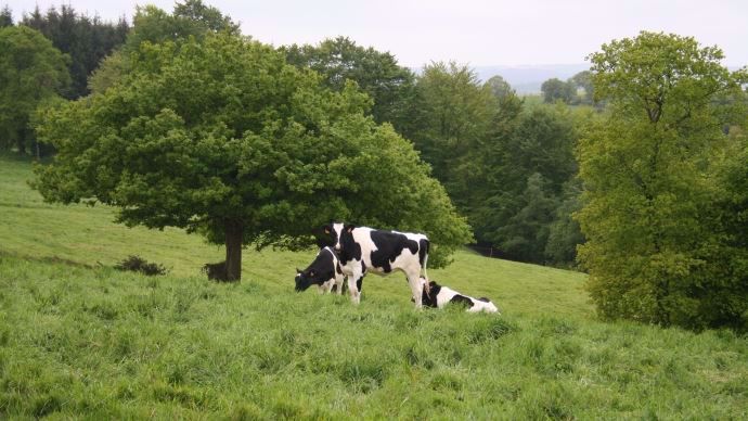 Retrouvez tous les prix du foncier agricole 2015 en Normandie.