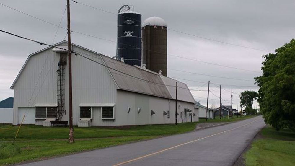 Au Canada, les producteurs de lait, essentiellement concentrés au Québec, s'inquiètent des importations croissantes de lait diafiltré. (©Terre-net Média) Au Canada, les producteurs de lait, essentiellement concentrés au Québec, s'inquiètent des importations croissantes de lait diafiltré. (©Terre-net Média)