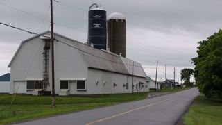 Au Canada, les producteurs de lait, essentiellement concentrés au Québec, s'inquiètent des importations croissantes de lait diafiltré. (©Terre-net Média) Au Canada, les producteurs de lait, essentiellement concentrés au Québec, s'inquiètent des importations croissantes de lait diafiltré. (©Terre-net Média)