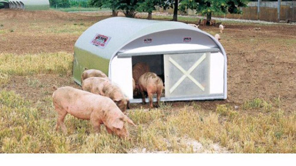 L'innovation Beiser pour que les porcs soient élevés dans le confort ! (©Beiser) 